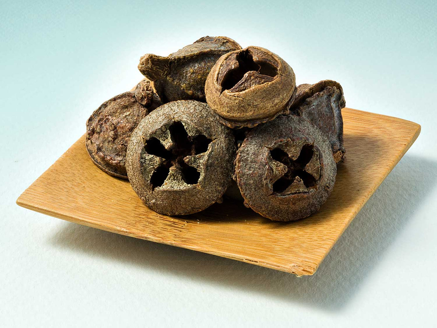 Eukaliptusz gyümölcs 40g