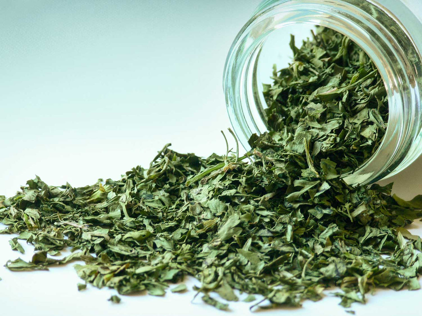 Korianderlevél 10 g