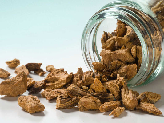 encián gyökér apróra vágva 30g