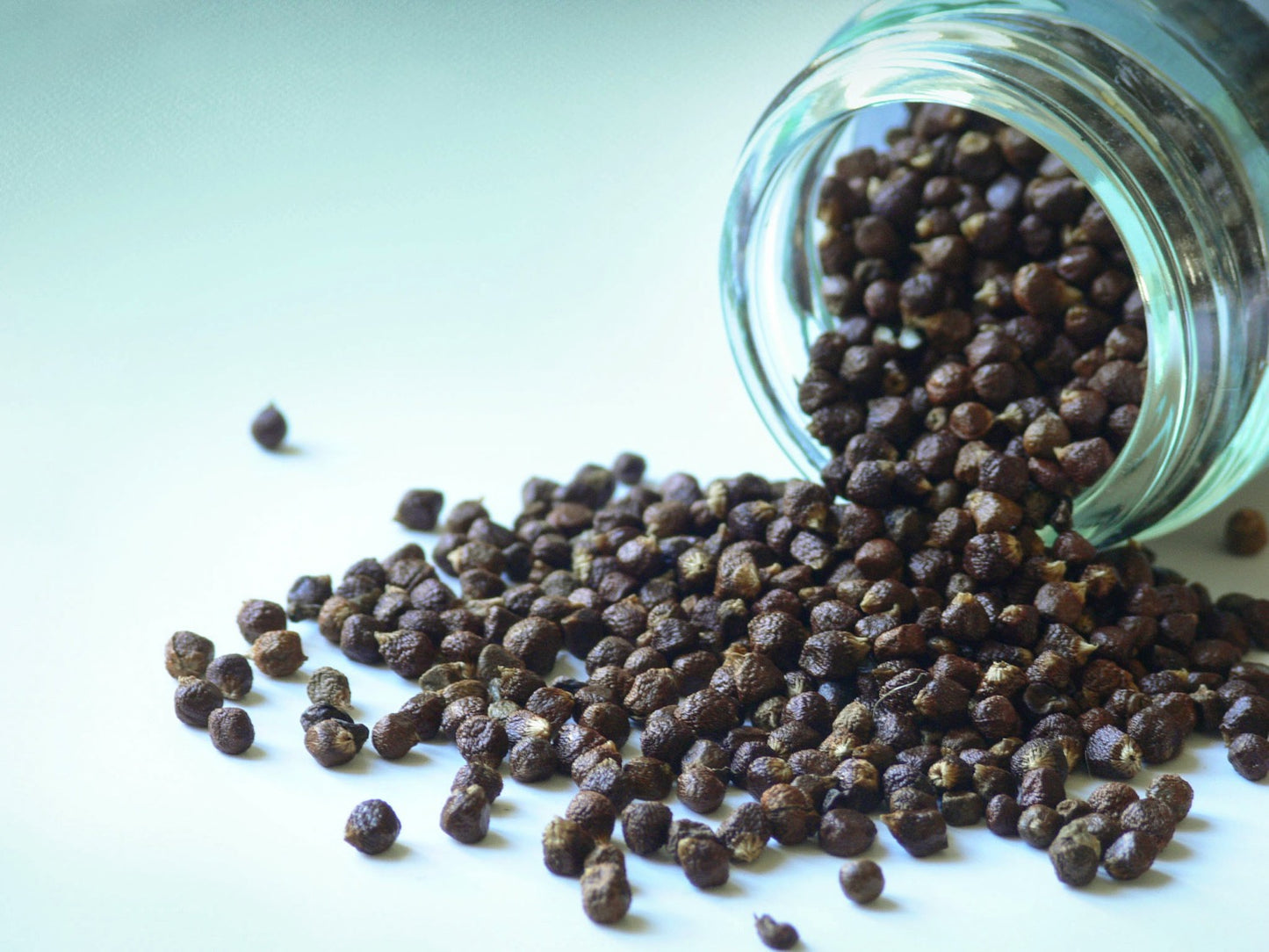 Malagueta paprika - Paradicsom szemek 40g