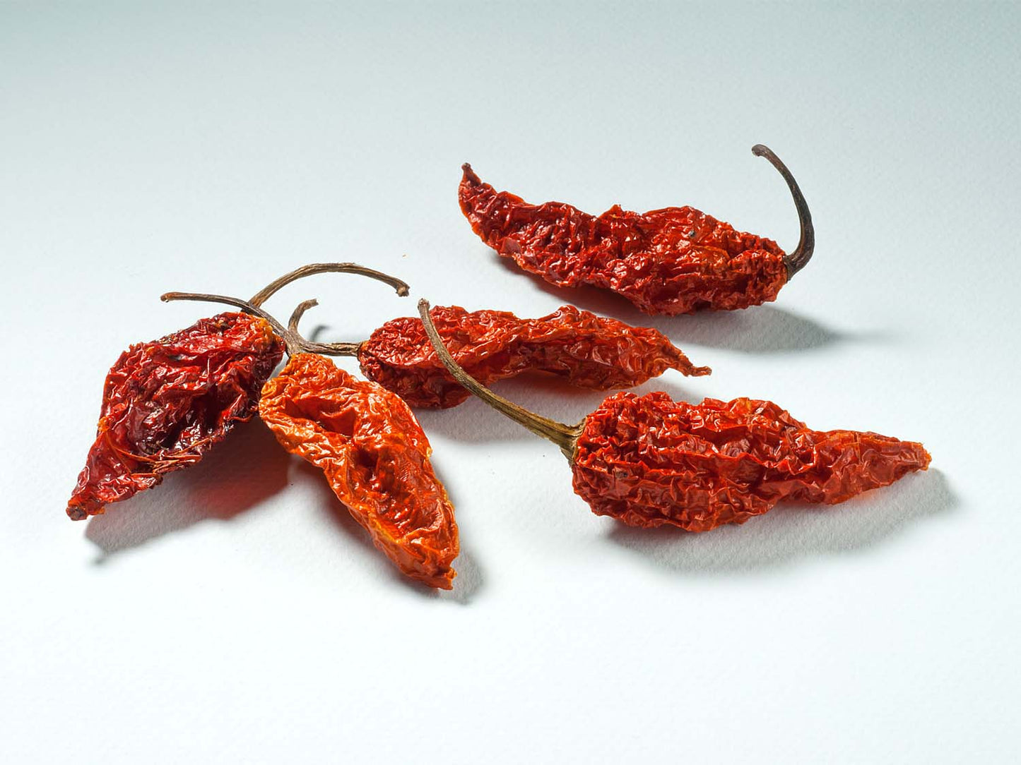 Egész Bhut Jolokia chili paprika 10g