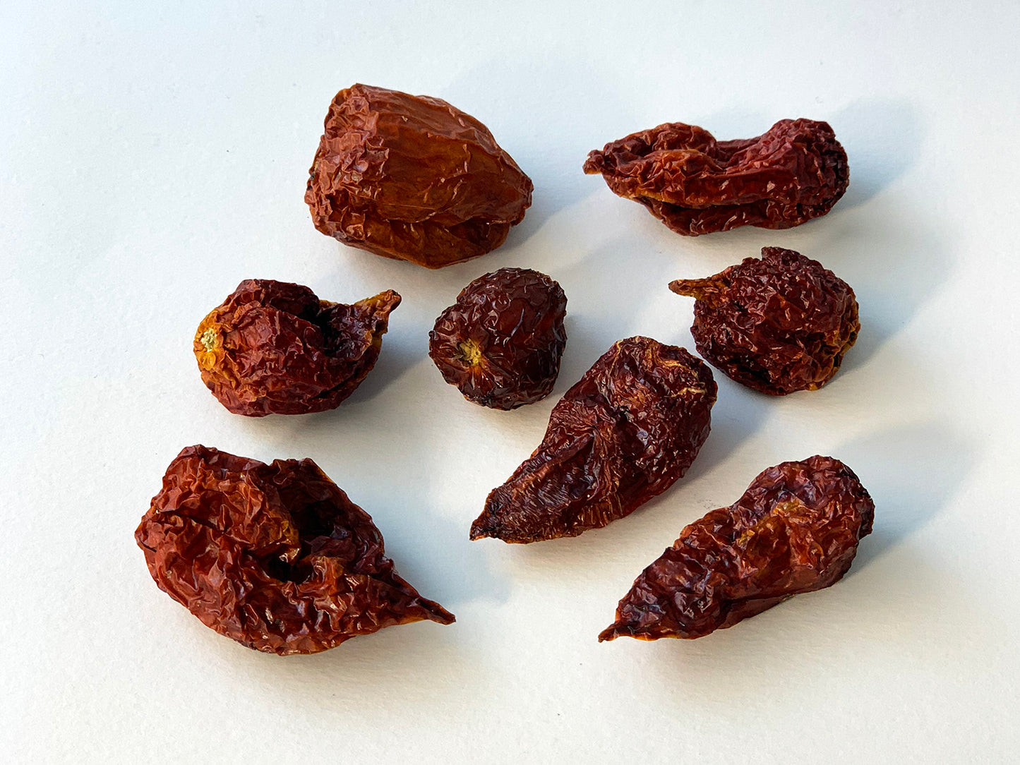 Egész Trinidad Scorpion chili paprika 10g