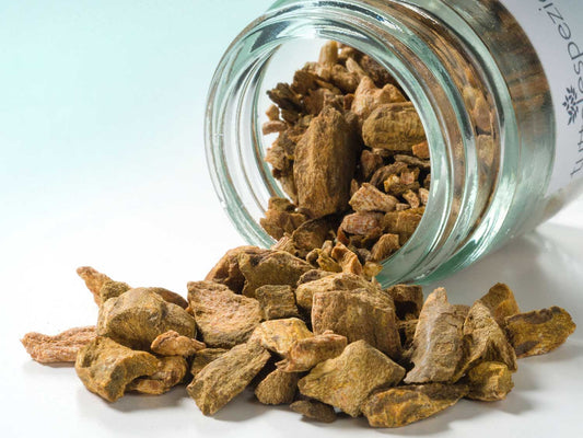 Rebarbara rizóma 30g